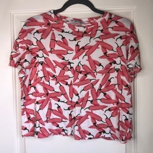 Zara Chili Pepper Cropped Tee 🌶